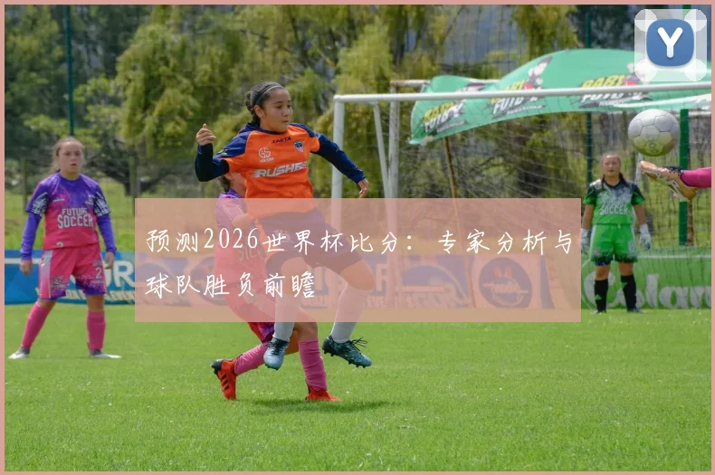 预测2026世界杯比分:专家分析与球队胜负前瞻